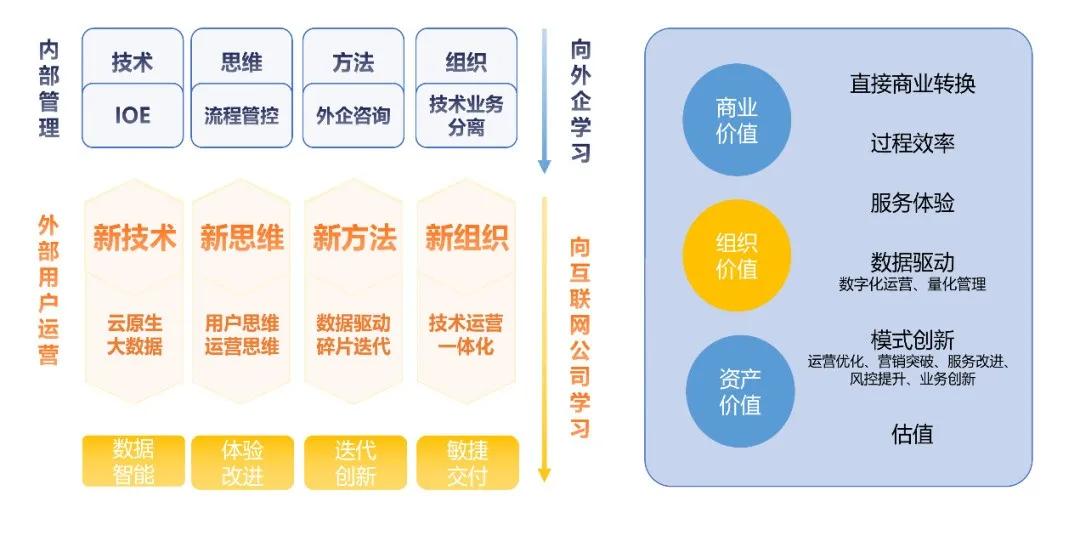 全面解析精准管家婆，从数字到实践的深度解读